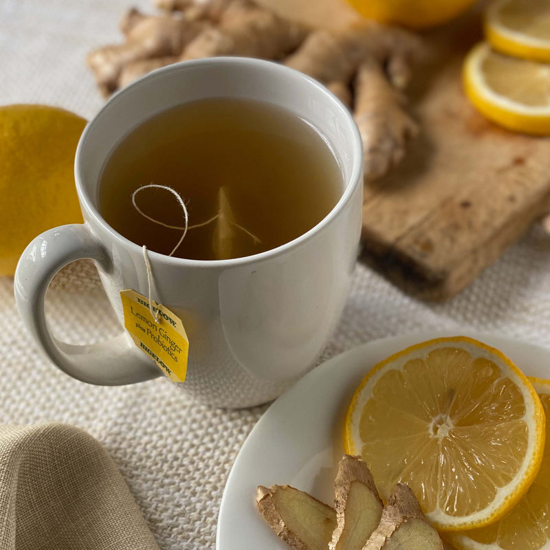 Cup of Lemon Ginger Plus Probiotics Herbal Tea